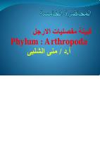 م5 (1).pdf